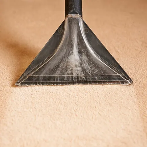 carpet_cleaning2_500x500 carpet_cleaning2_500x500